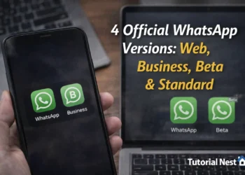 4 official WhatsApp versions showing standard WhatsApp and business on smartphone and web and beta on computer